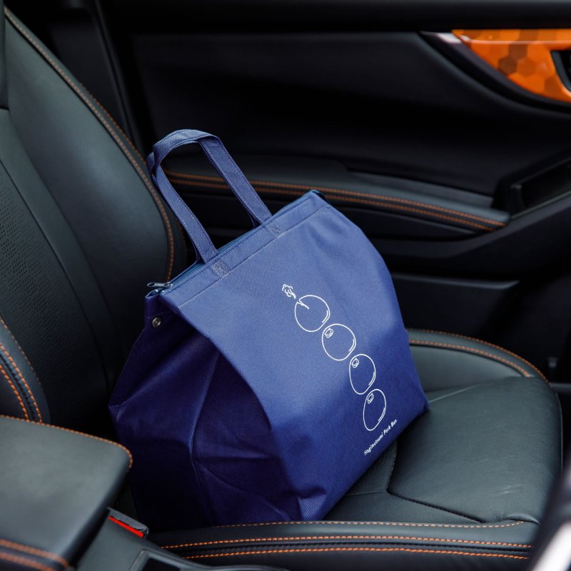 画像9:  【期間限定価格！】 萩むつみ豚まん・お肉手土産セット（保冷バッグ付き） (9)